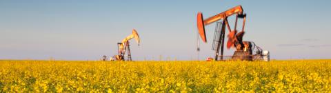Energy & Mining